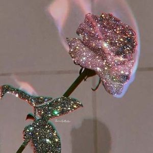 Meet your Posher, Destiny